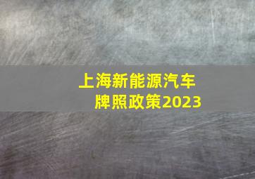 上海新能源汽车牌照政策2023