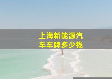 上海新能源汽车车牌多少钱