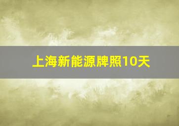 上海新能源牌照10天