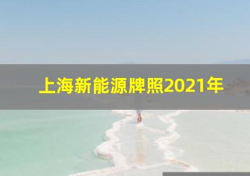 上海新能源牌照2021年