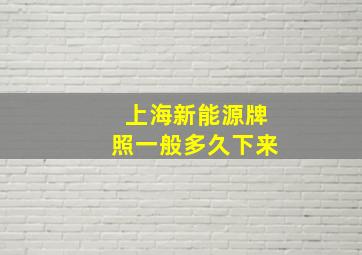 上海新能源牌照一般多久下来