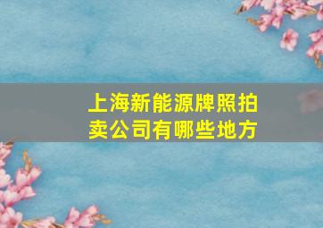 上海新能源牌照拍卖公司有哪些地方