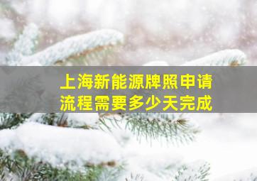 上海新能源牌照申请流程需要多少天完成