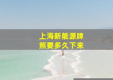 上海新能源牌照要多久下来