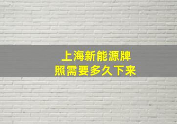 上海新能源牌照需要多久下来