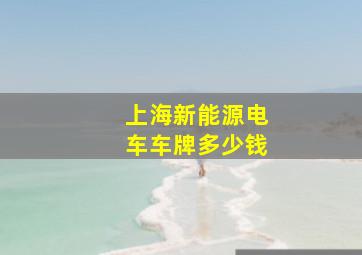 上海新能源电车车牌多少钱