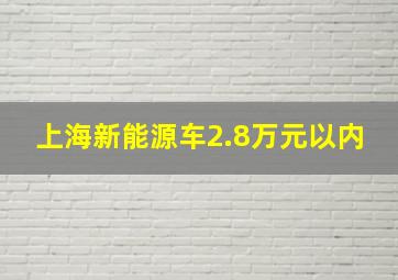 上海新能源车2.8万元以内