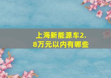 上海新能源车2.8万元以内有哪些