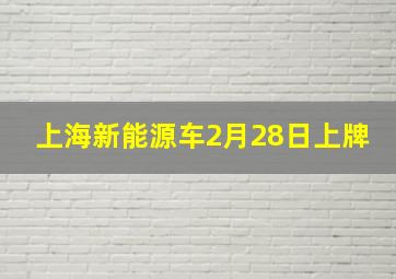 上海新能源车2月28日上牌