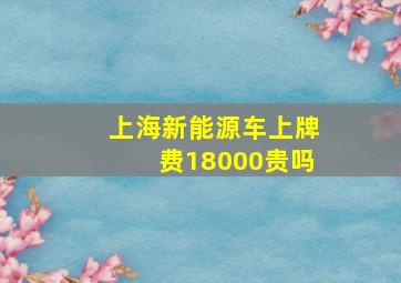 上海新能源车上牌费18000贵吗