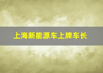 上海新能源车上牌车长