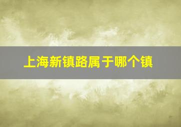 上海新镇路属于哪个镇