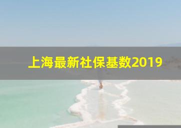 上海最新社保基数2019