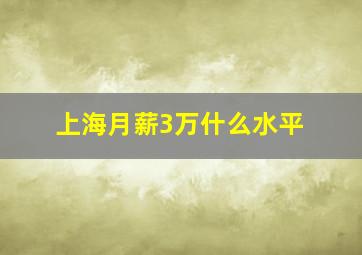 上海月薪3万什么水平