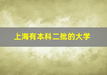 上海有本科二批的大学