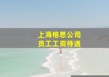 上海格思公司员工工资待遇