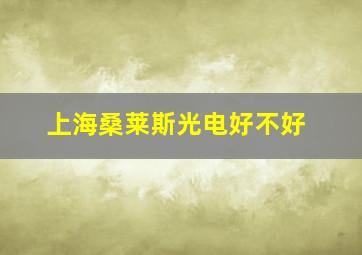 上海桑莱斯光电好不好