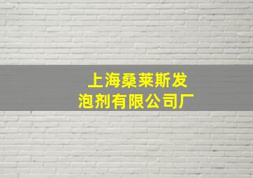 上海桑莱斯发泡剂有限公司厂