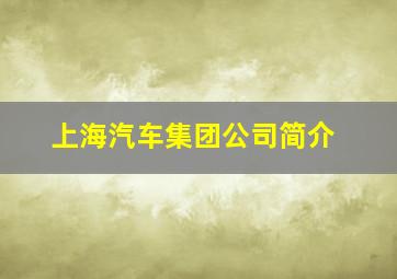 上海汽车集团公司简介