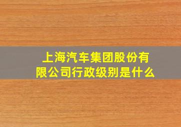 上海汽车集团股份有限公司行政级别是什么