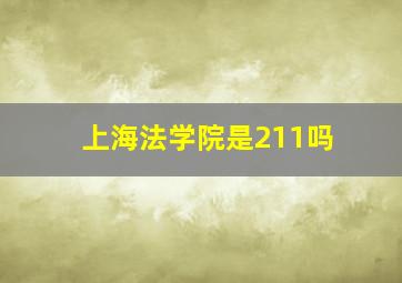 上海法学院是211吗