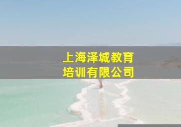 上海泽城教育培训有限公司