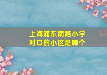 上海浦东南路小学对口的小区是哪个