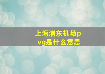 上海浦东机场pvg是什么意思