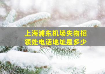 上海浦东机场失物招领处电话地址是多少