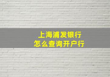 上海浦发银行怎么查询开户行