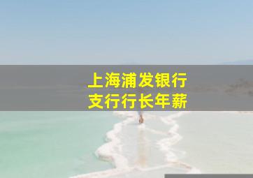 上海浦发银行支行行长年薪