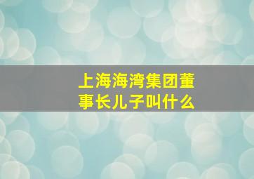 上海海湾集团董事长儿子叫什么