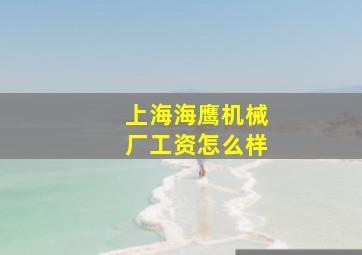 上海海鹰机械厂工资怎么样