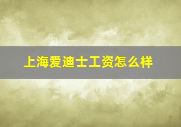 上海爱迪士工资怎么样