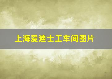 上海爱迪士工车间图片