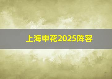 上海申花2025阵容