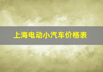 上海电动小汽车价格表