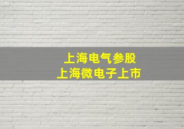 上海电气参股上海微电子上市