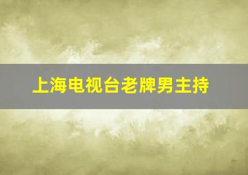 上海电视台老牌男主持