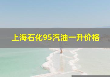 上海石化95汽油一升价格