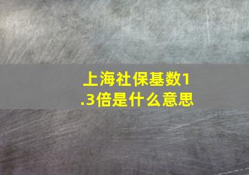 上海社保基数1.3倍是什么意思