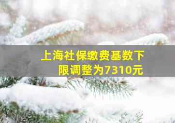 上海社保缴费基数下限调整为7310元