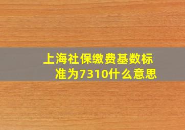 上海社保缴费基数标准为7310什么意思