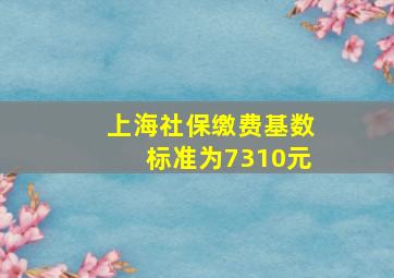 上海社保缴费基数标准为7310元