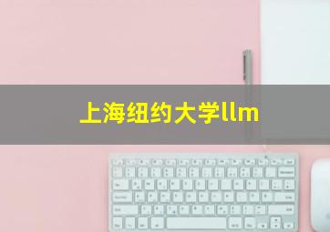 上海纽约大学llm