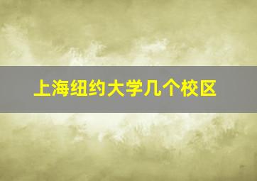 上海纽约大学几个校区