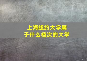 上海纽约大学属于什么档次的大学