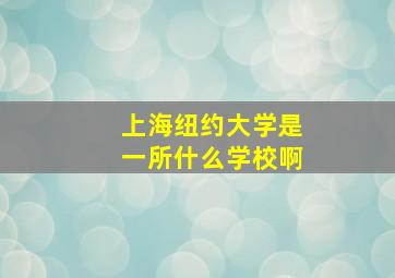 上海纽约大学是一所什么学校啊