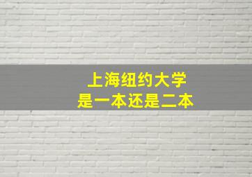 上海纽约大学是一本还是二本