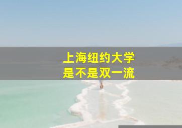 上海纽约大学是不是双一流